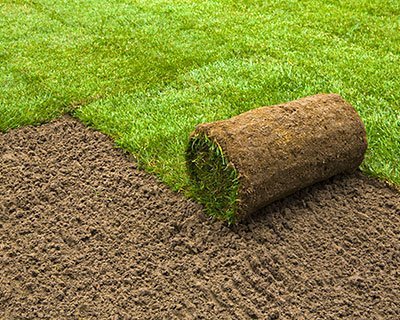 College Grove Sod Installation Contractor