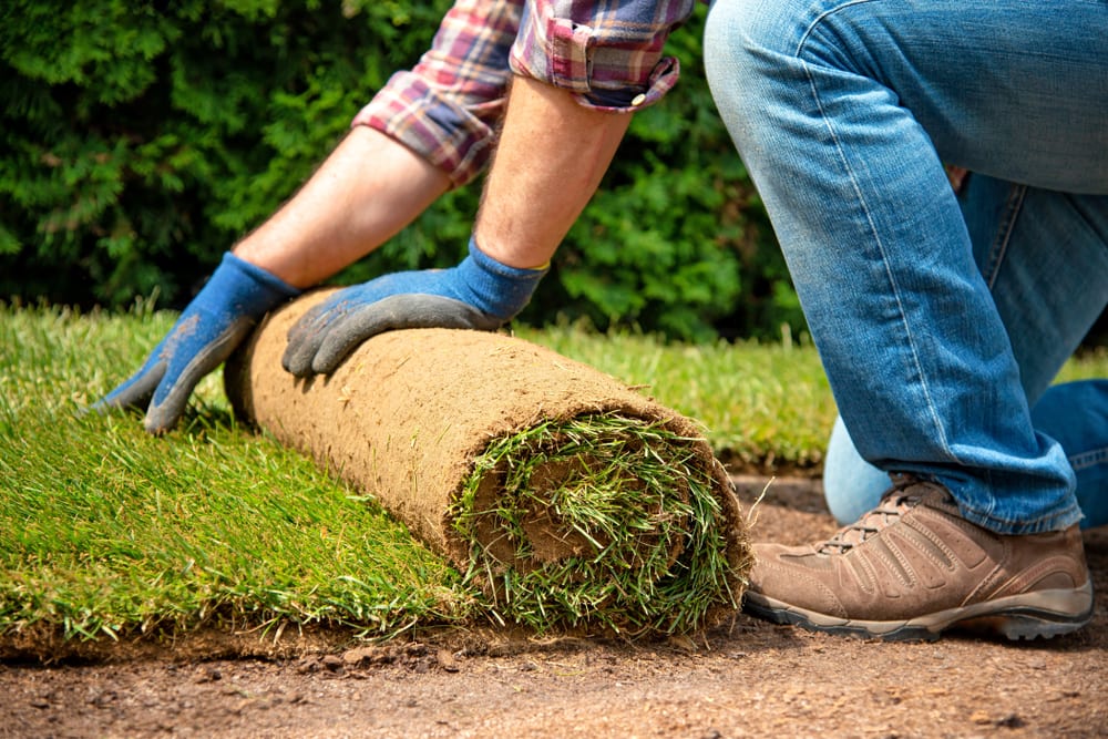 Artificial Turf and Sod Maintenance Murfreesboro TN